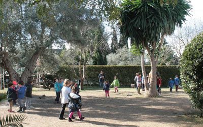 La salud en la educación