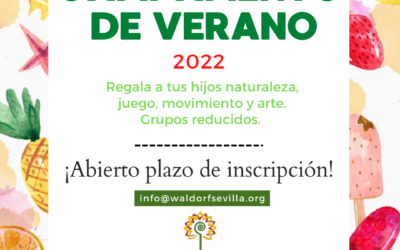Campamento de VERANO 2022